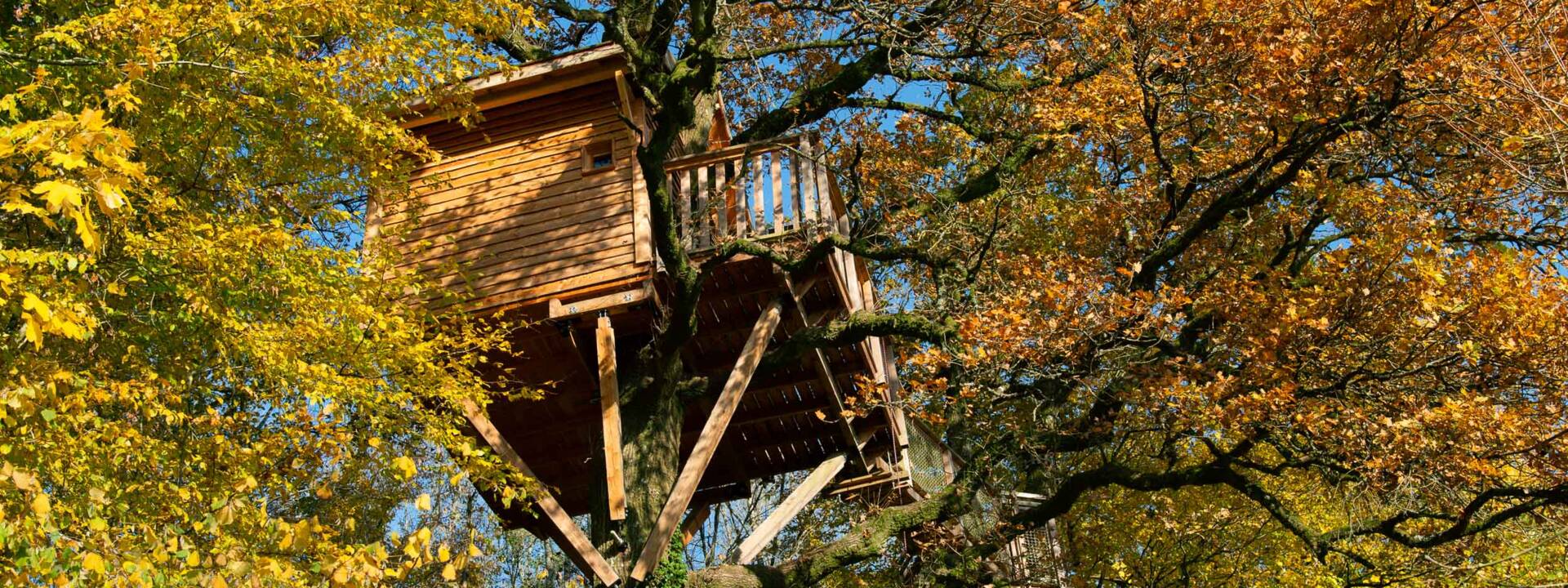 Cabane Perchée à La Vénerie à Signy l'Abbaye