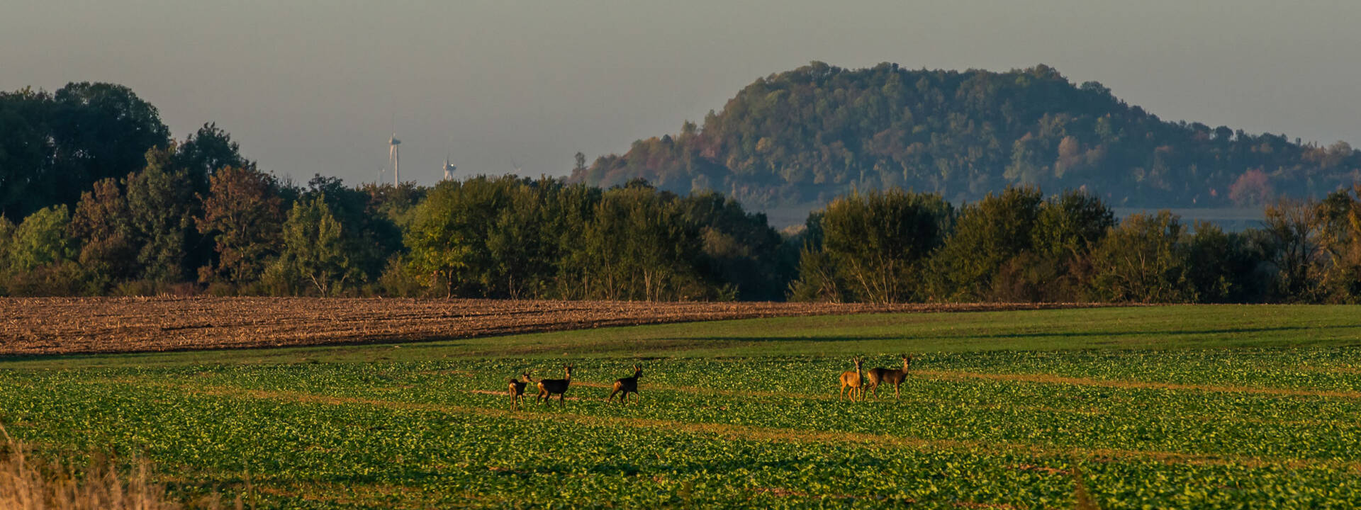 Le Porcien - Les Monts de Sery