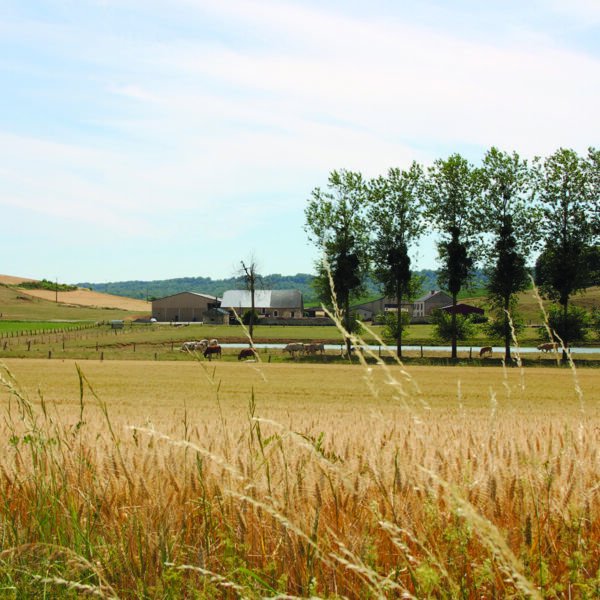 Ferme sur le territoire des Crêtes Préardennaises.