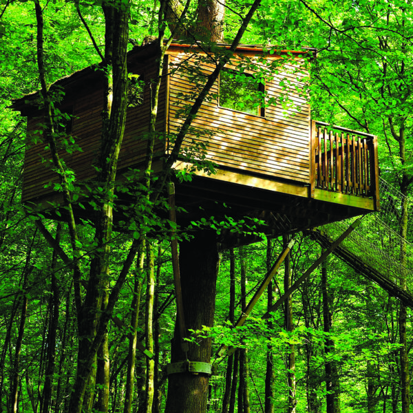 Cabane du Chêne Perché à Signy l'Abbaye